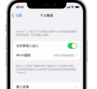 于田apple服务站点分享iPhone上个人热点丢失了怎么办 