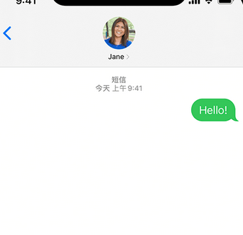 于田apple维修iPhone上无法正常发送iMessage信息