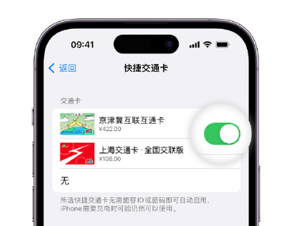 于田apple维修点分享iPhone上更换Apple Pay快捷交通卡手绘卡面 