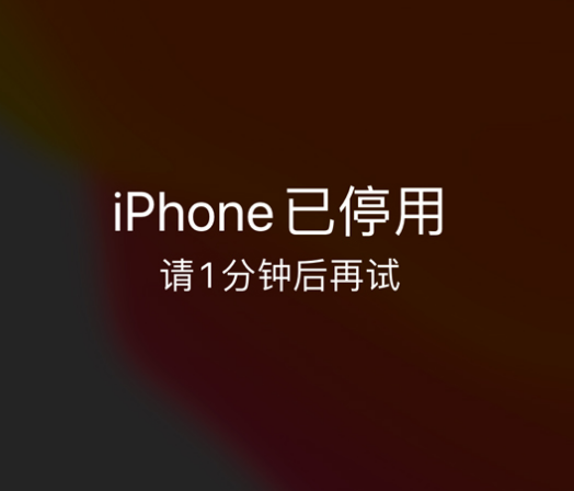 于田苹果手机维修分享:iPhone 显示“不可用”或“已停用”怎么办？还能保留数据吗？ 