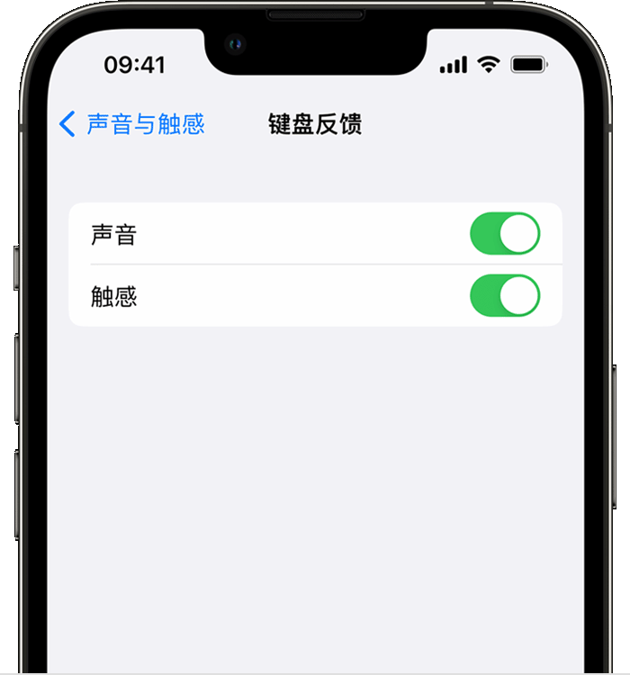 于田苹果14维修店分享如何在 iPhone 14 机型中使用触感键盘 