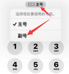 于田苹果14维修店分享iPhone 14 Pro Max使用副卡打电话的方法 