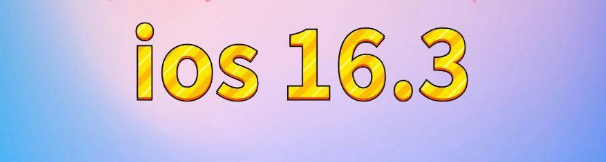 于田苹果服务网点分享苹果iOS16.3升级反馈汇总 