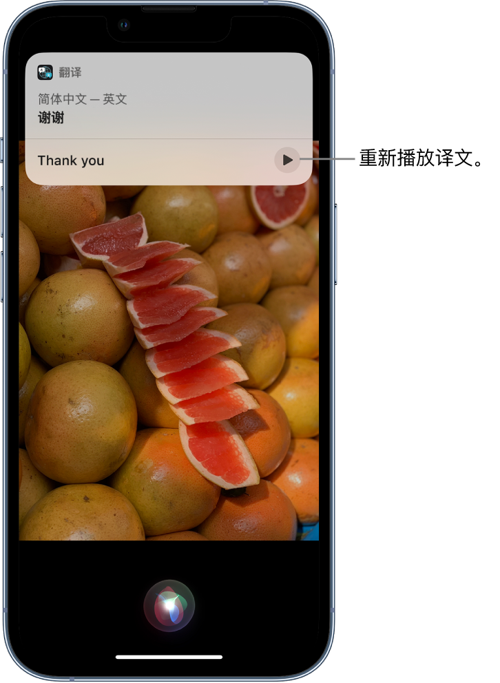 于田苹果14维修分享 iPhone 14 机型中使用 Siri：了解 Siri 能帮你做什么 