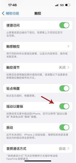 于田苹果手机维修分享iPhone手机如何设置摇一摇删除文字 